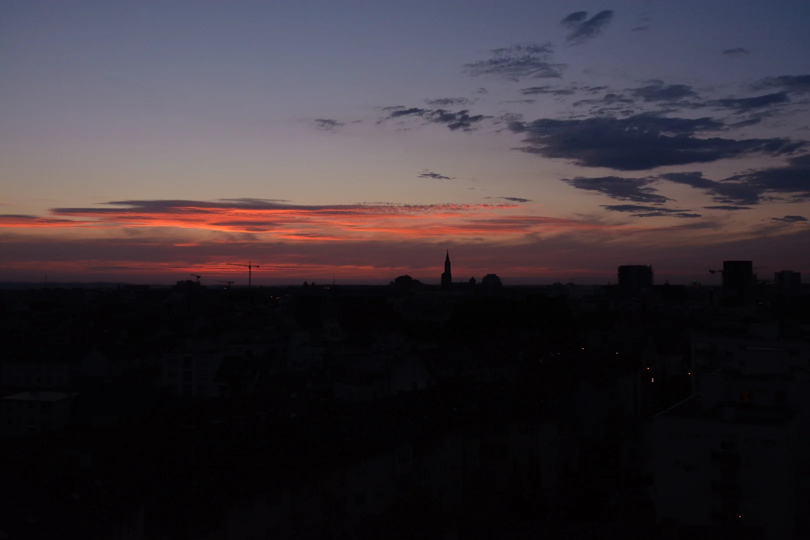 DSC_1132.jpg