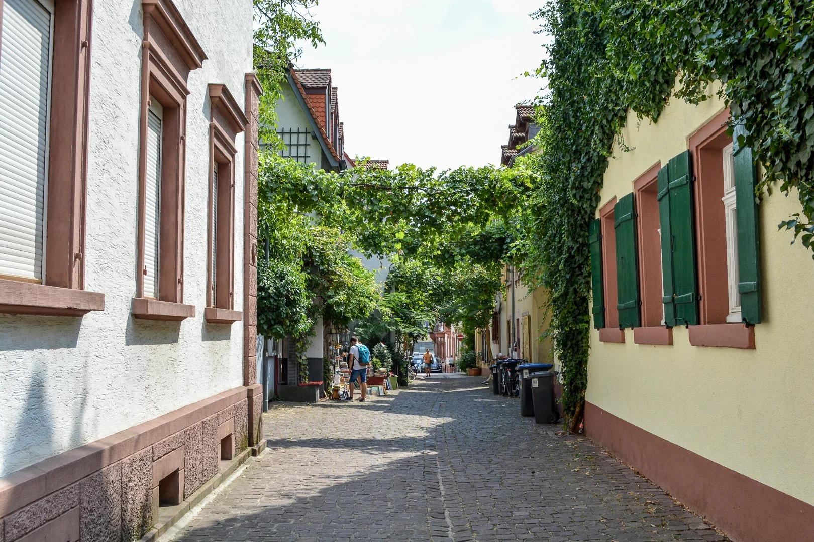 Charming Heidelberg Old Town