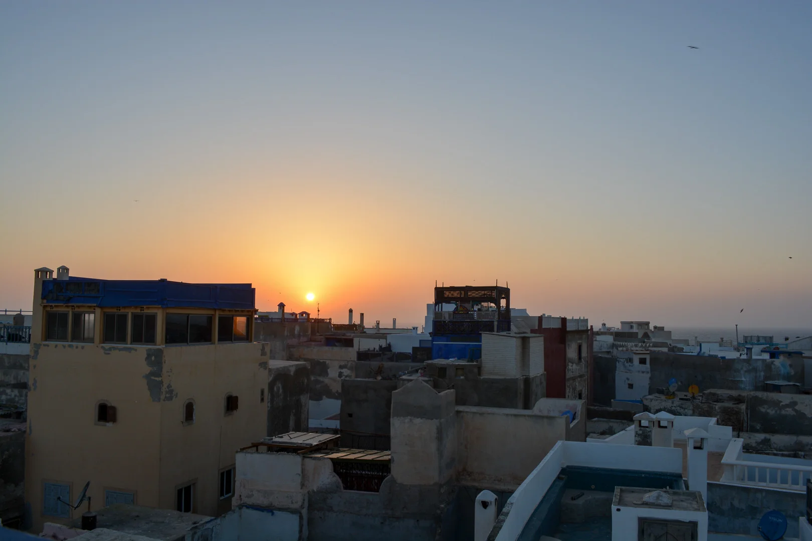 DSC_0201.jpg