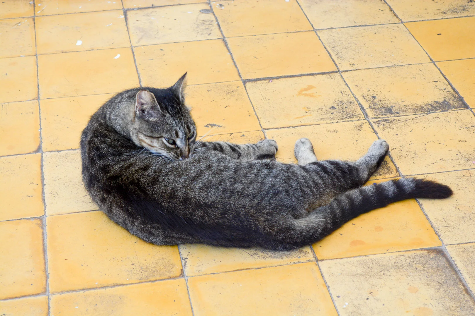 DSC_0189.jpg