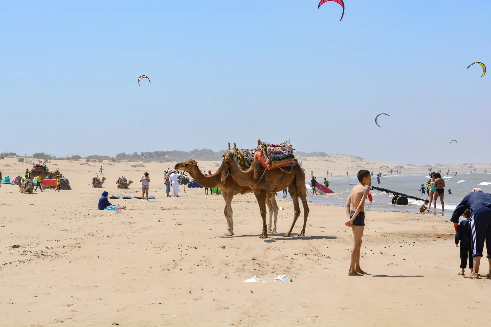 DSC_0144.jpg