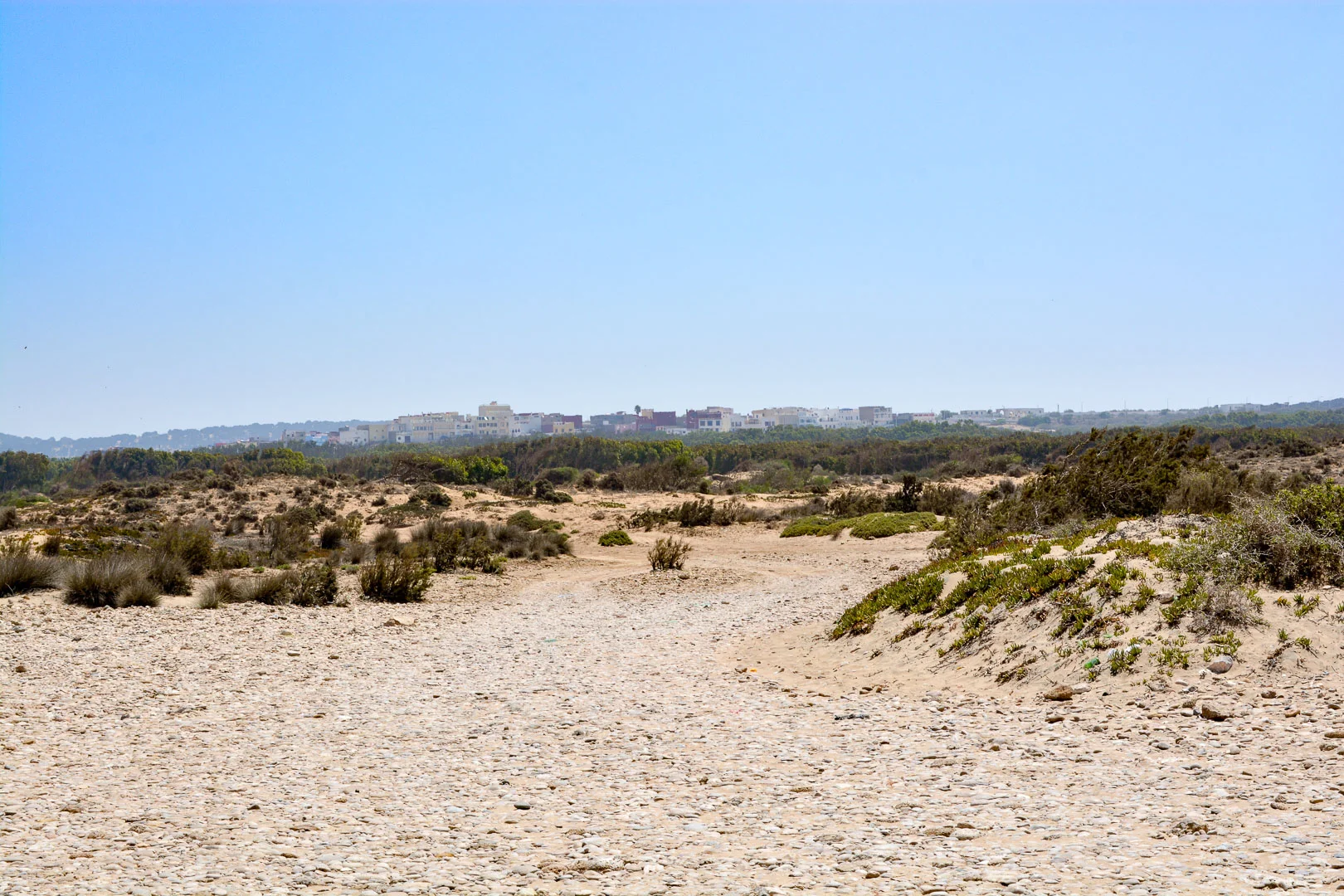 DSC_0146.jpg