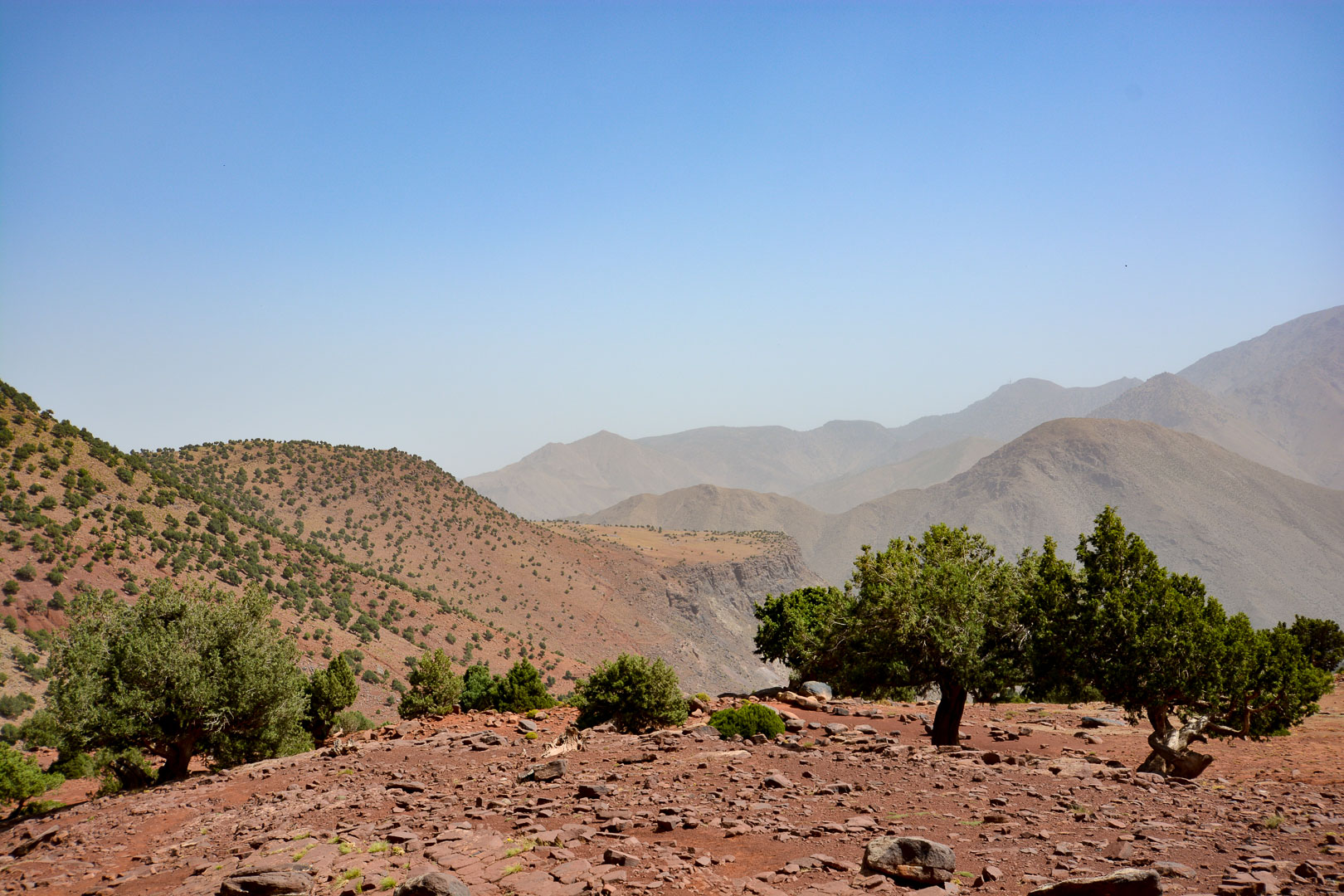 DSC_0370.jpg