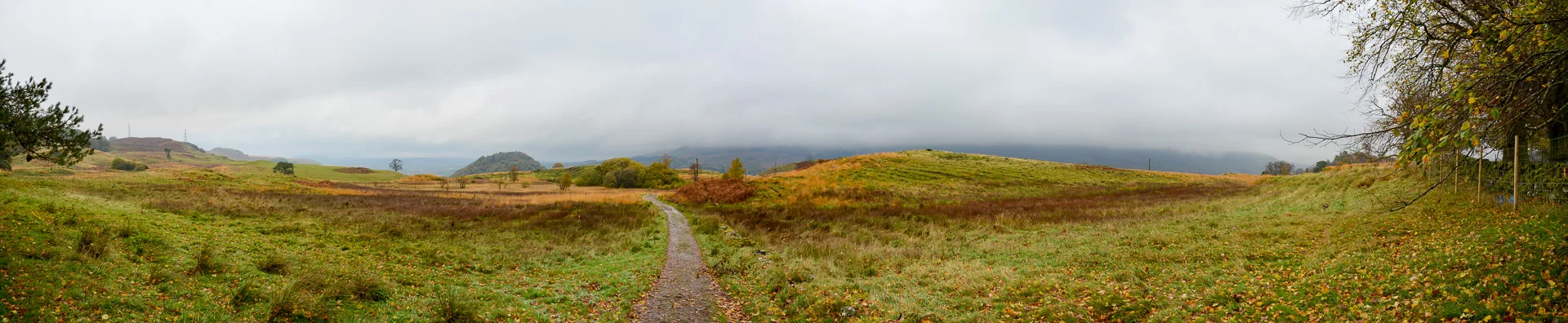 File337-Pano.jpg