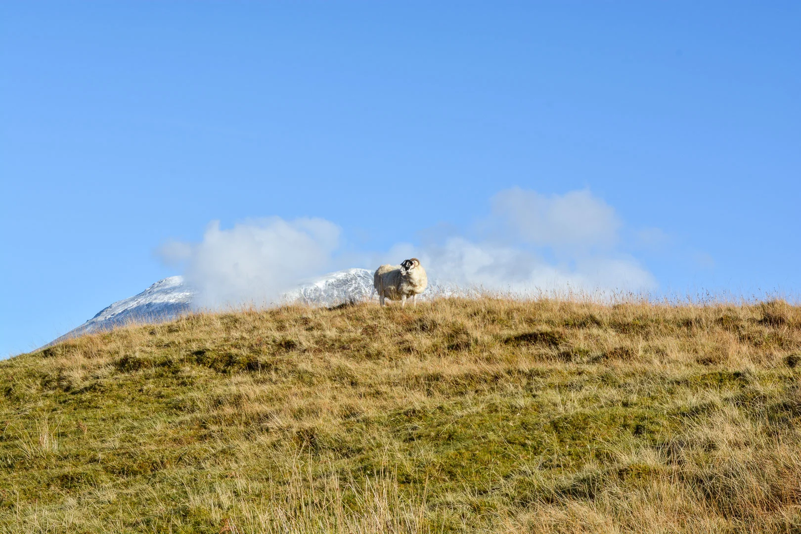 Baaaaa-raaaaam-youuuuuu