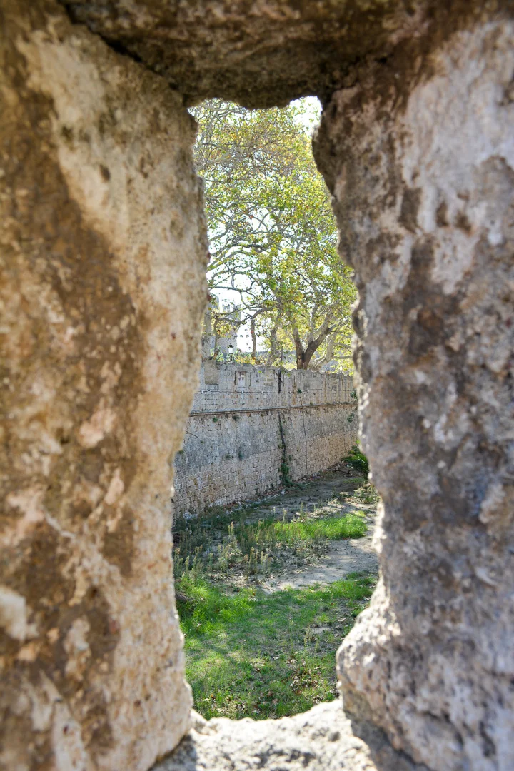 DSC_0009.jpg
