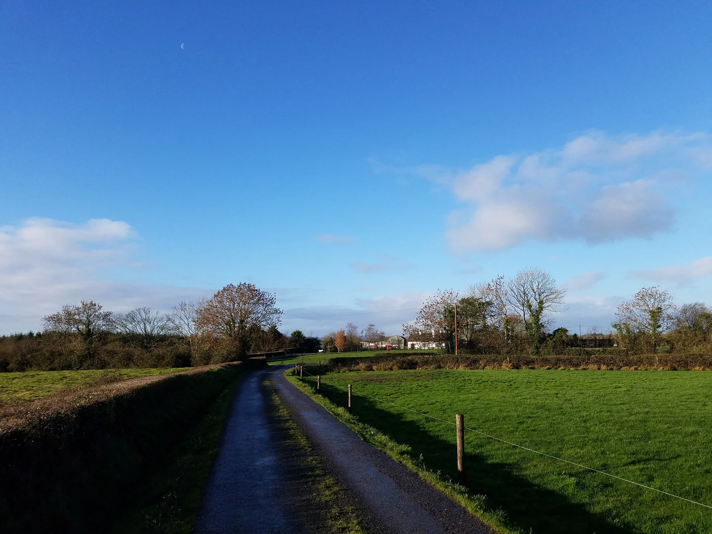 20181130_103809.jpg