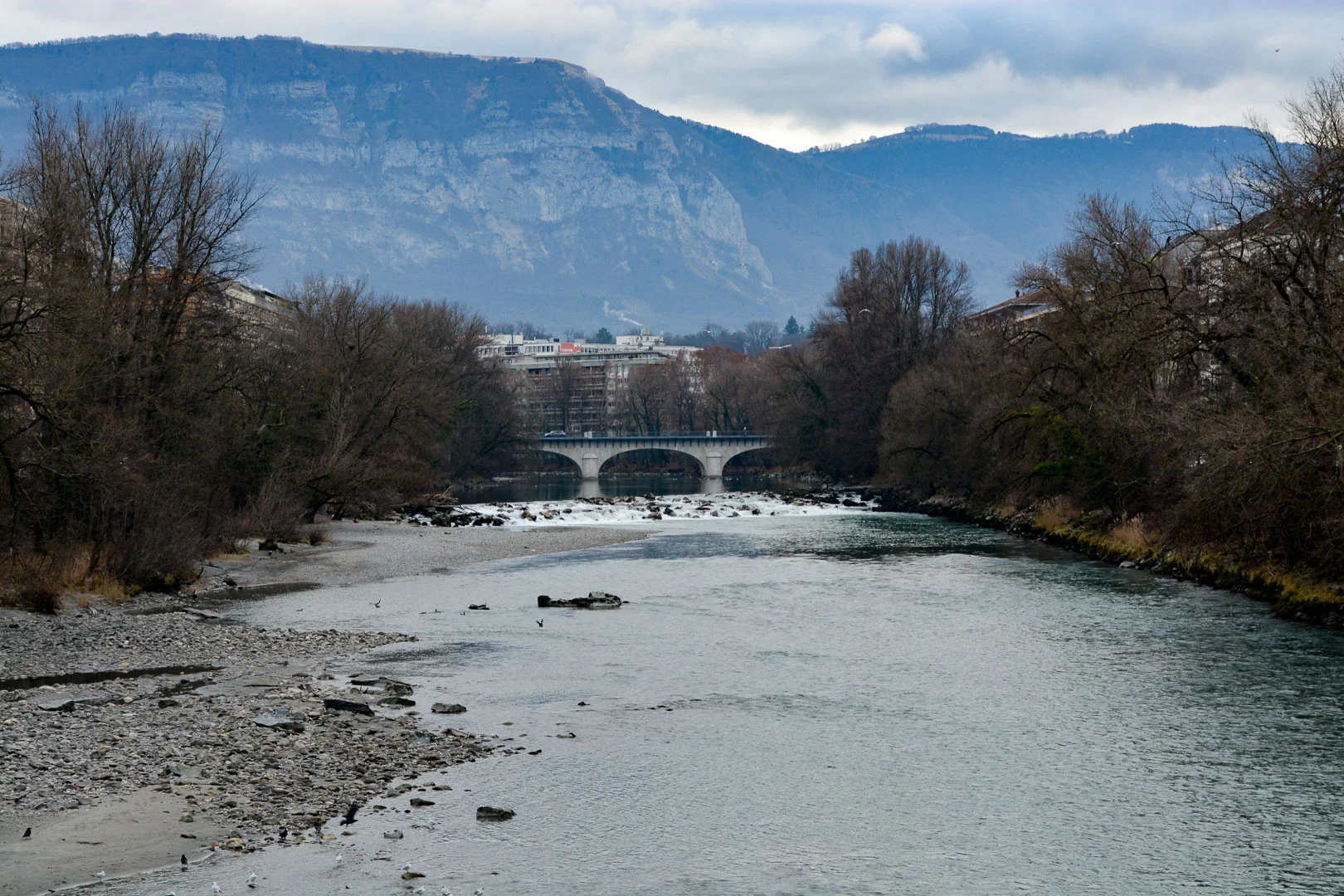 DSC_0700.jpg