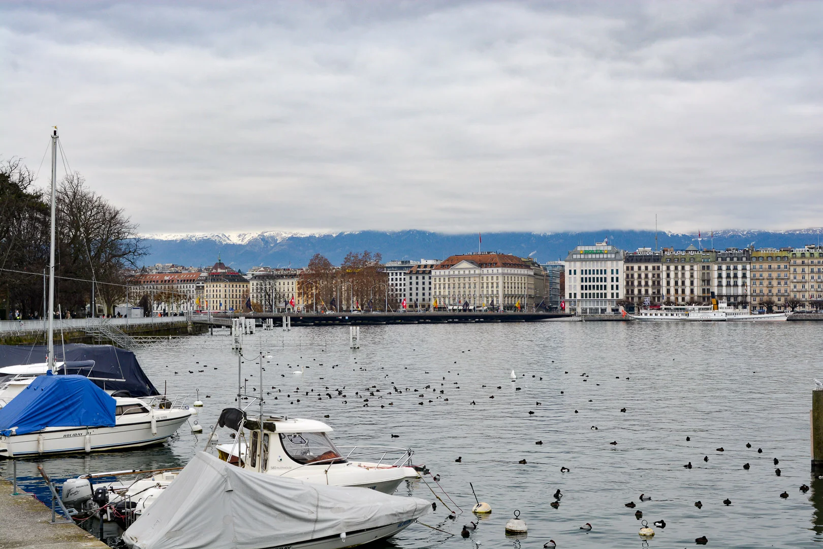 DSC_0730.jpg
