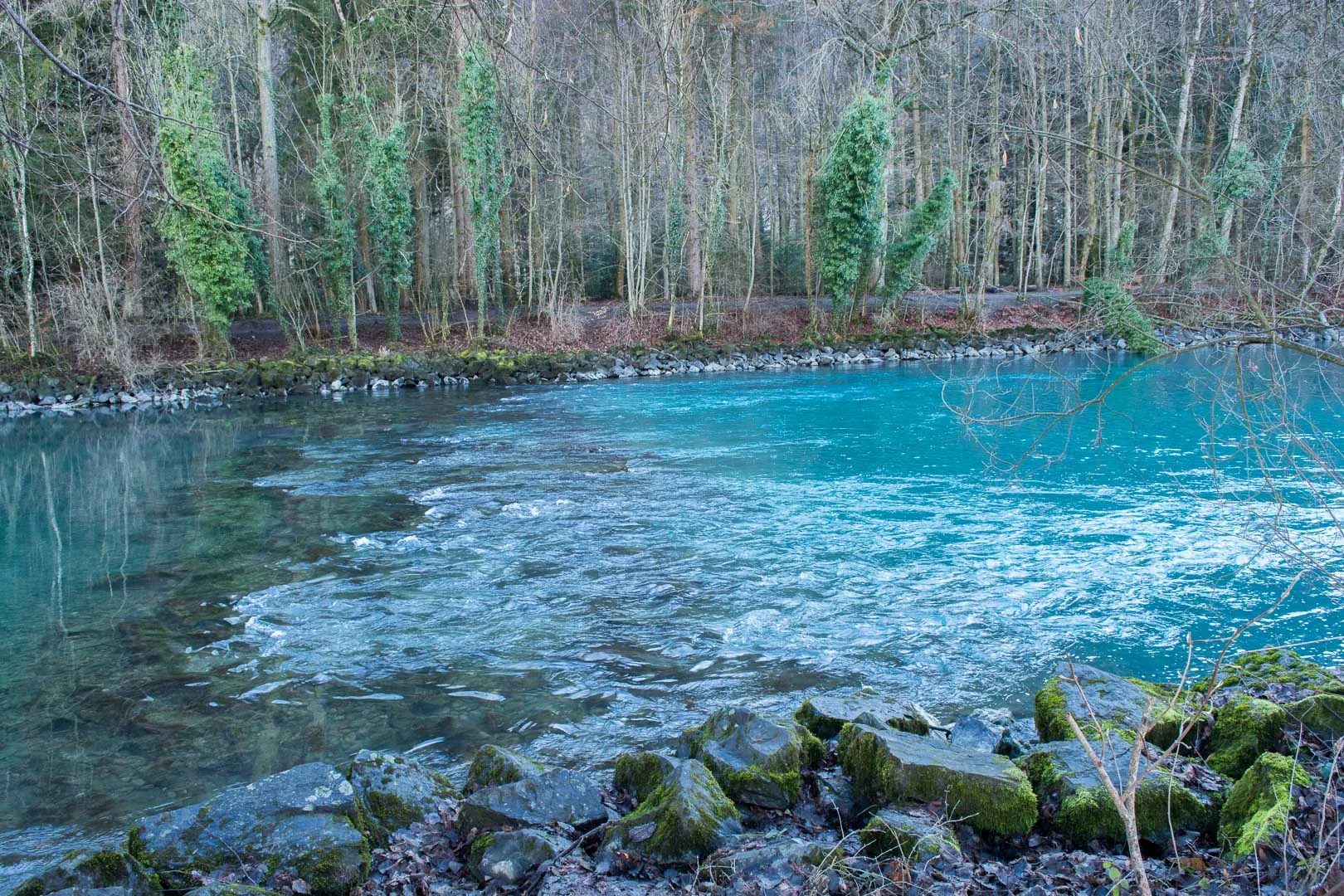Unedited photo to show you how BLUE the water is here.
