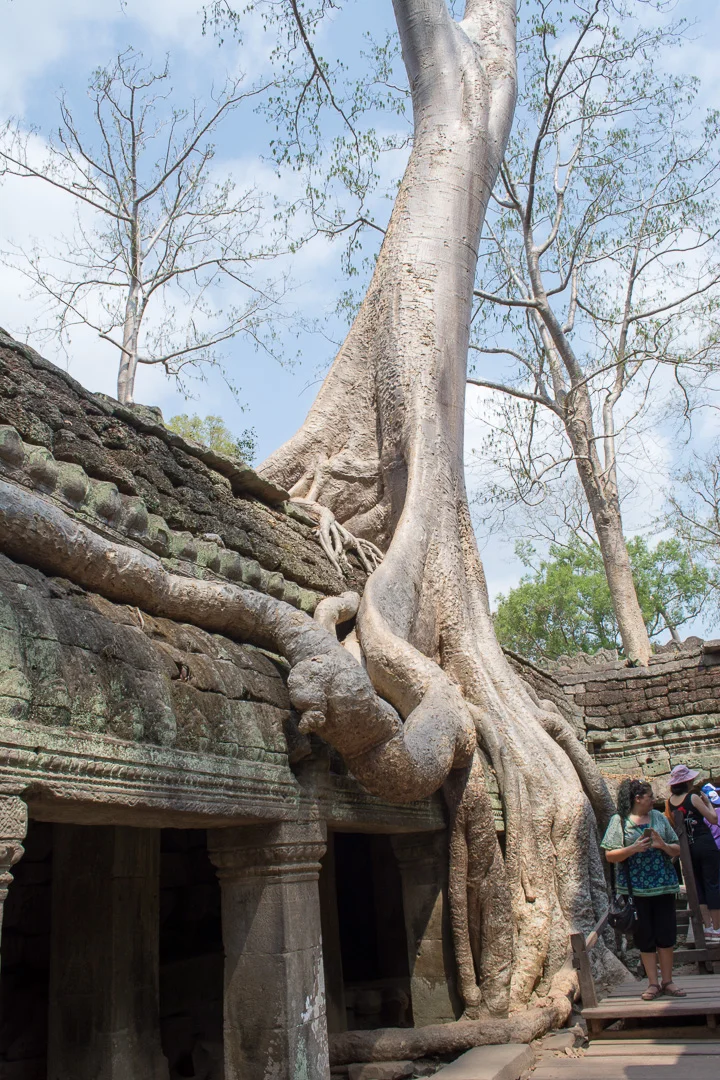 Ta Prohm