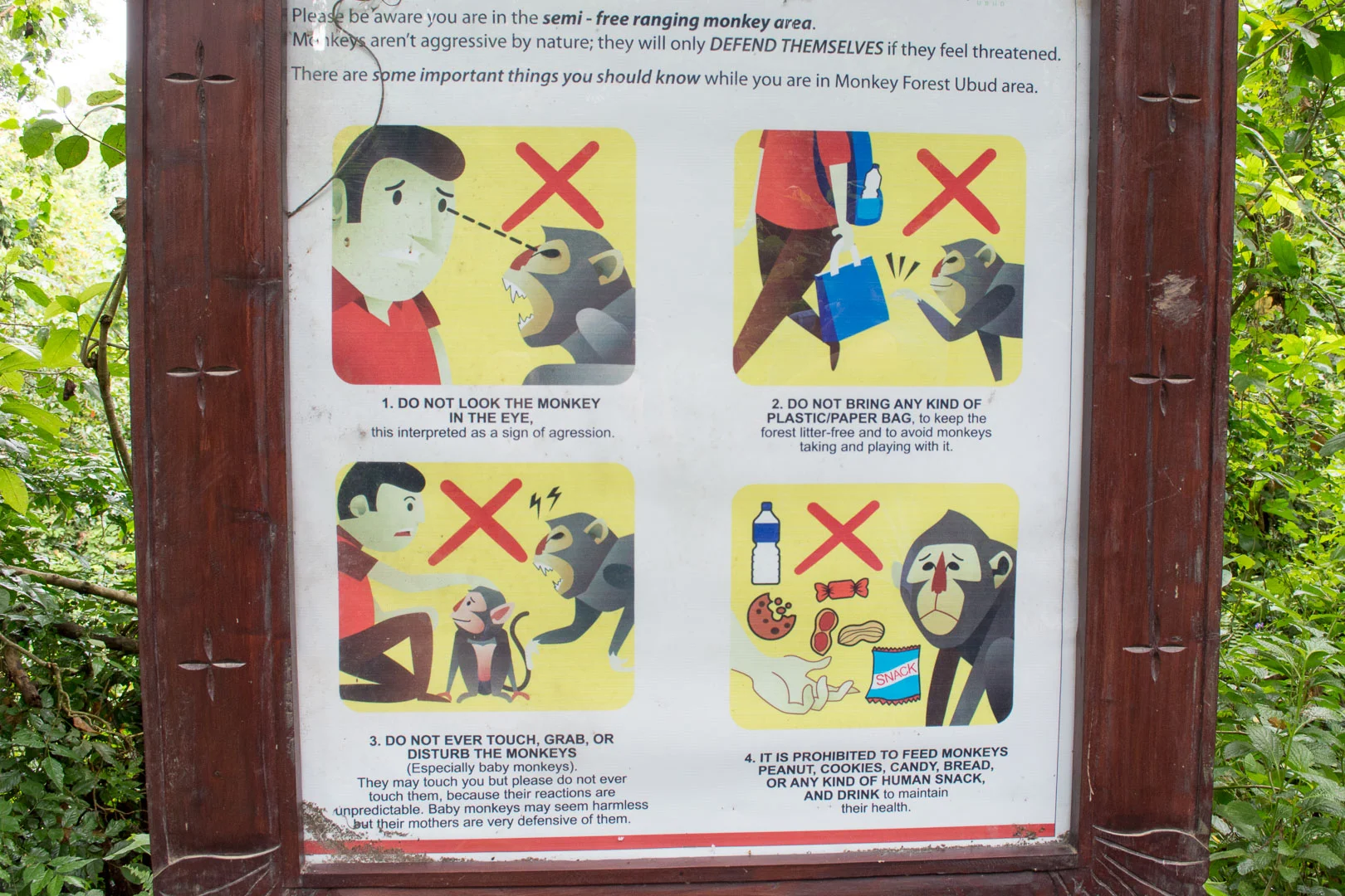 Rules for Monkey Forest. Bryan found the first one particularly hilarious