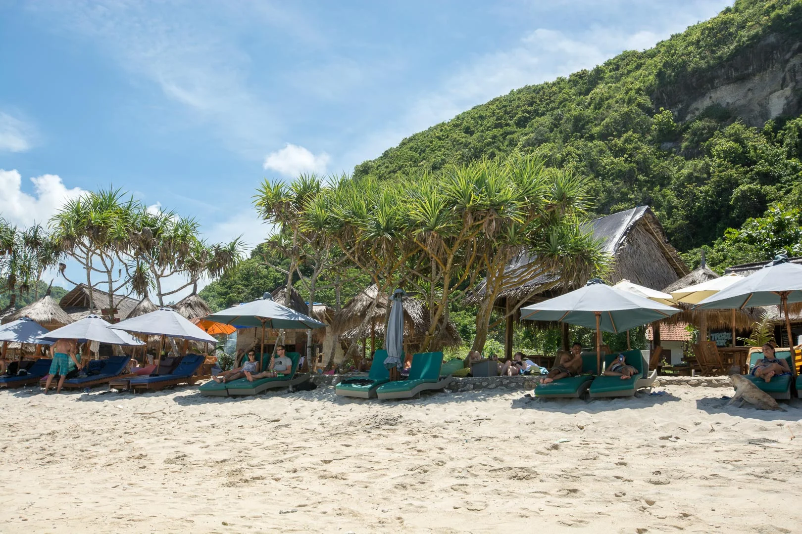 chairs and umbrellas for rent!