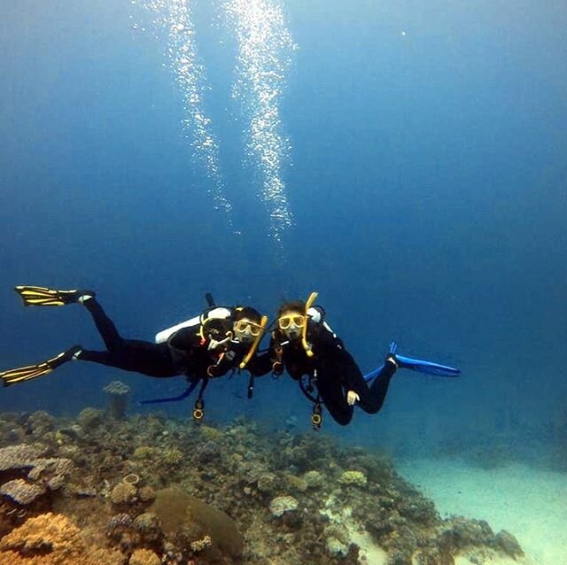 Great Barrier Reef photos! Or some of them. We spent 3 days on a ship in the middle of the Great Barrier Reef and dove 10 times, including our first night dive with sharks! We saw many corrals, tropical fish, stingrays, turtles, cuttlefish, a lion fi