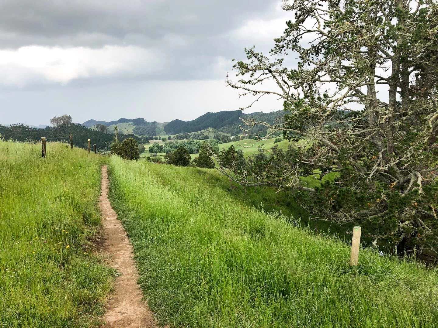 Our walk near Waitomo