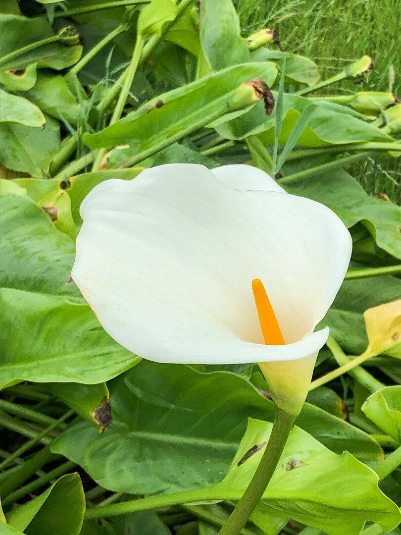 20191204_030152179_iOS.jpg