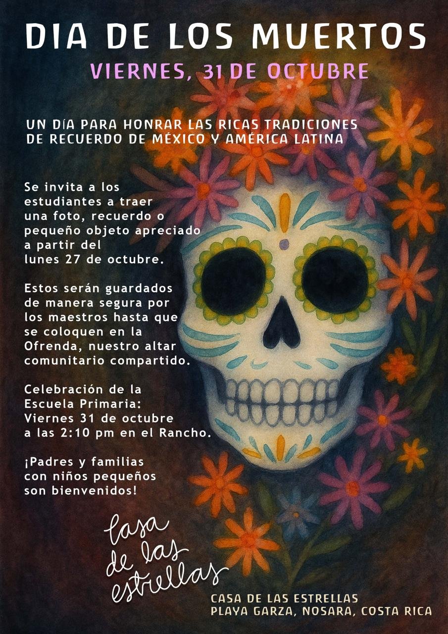 WhatsApp Image 2025-10-22 at 08.41.45.jpeg