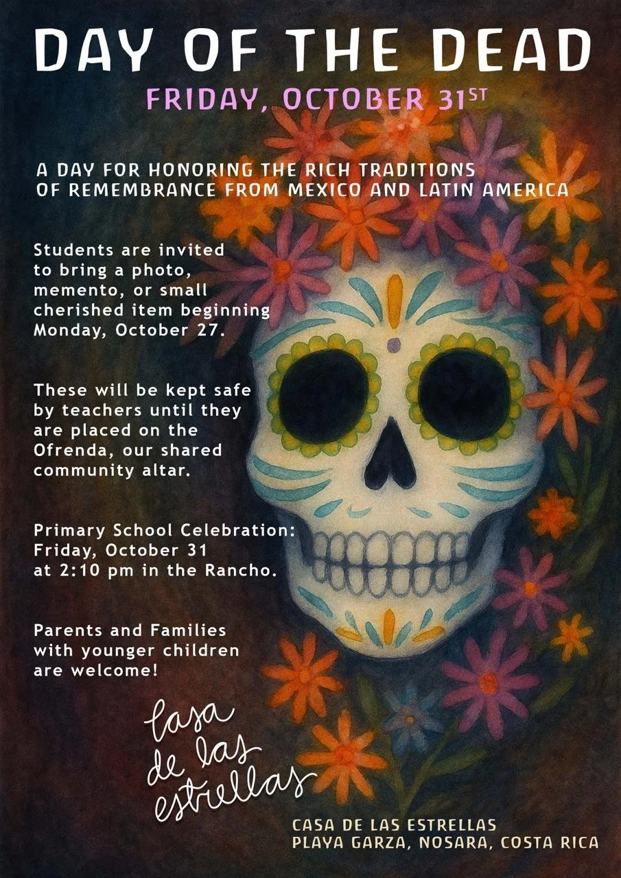 WhatsApp Image 2025-10-22 at 08.41.35.jpeg