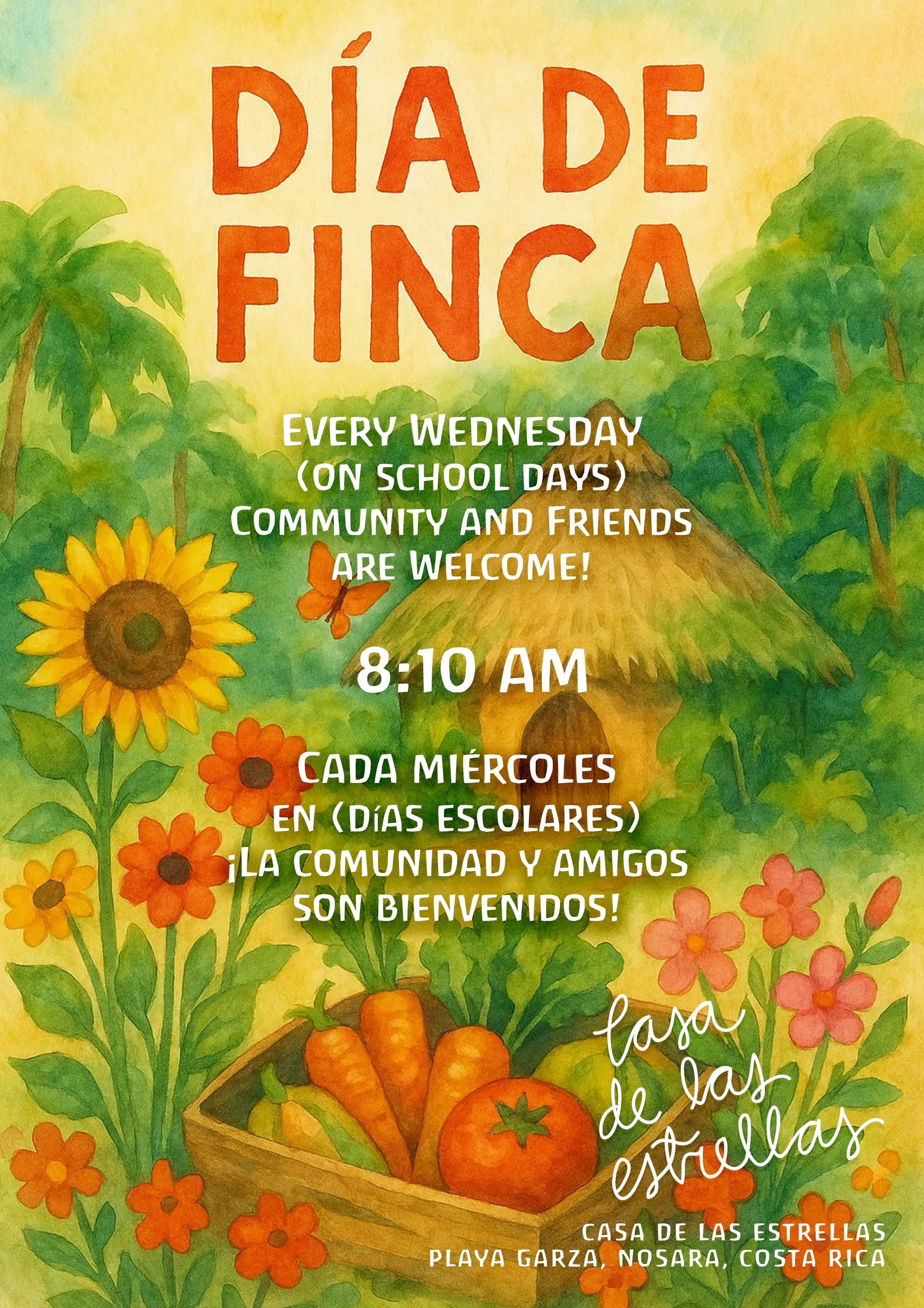 FINCA-DAY.jpg