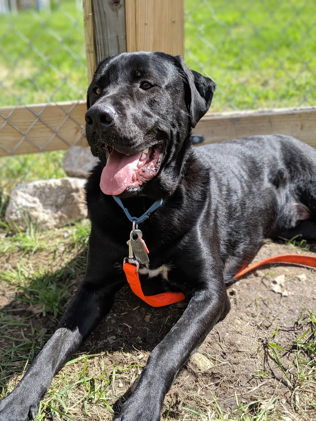 I just had a great conversation with my mail man