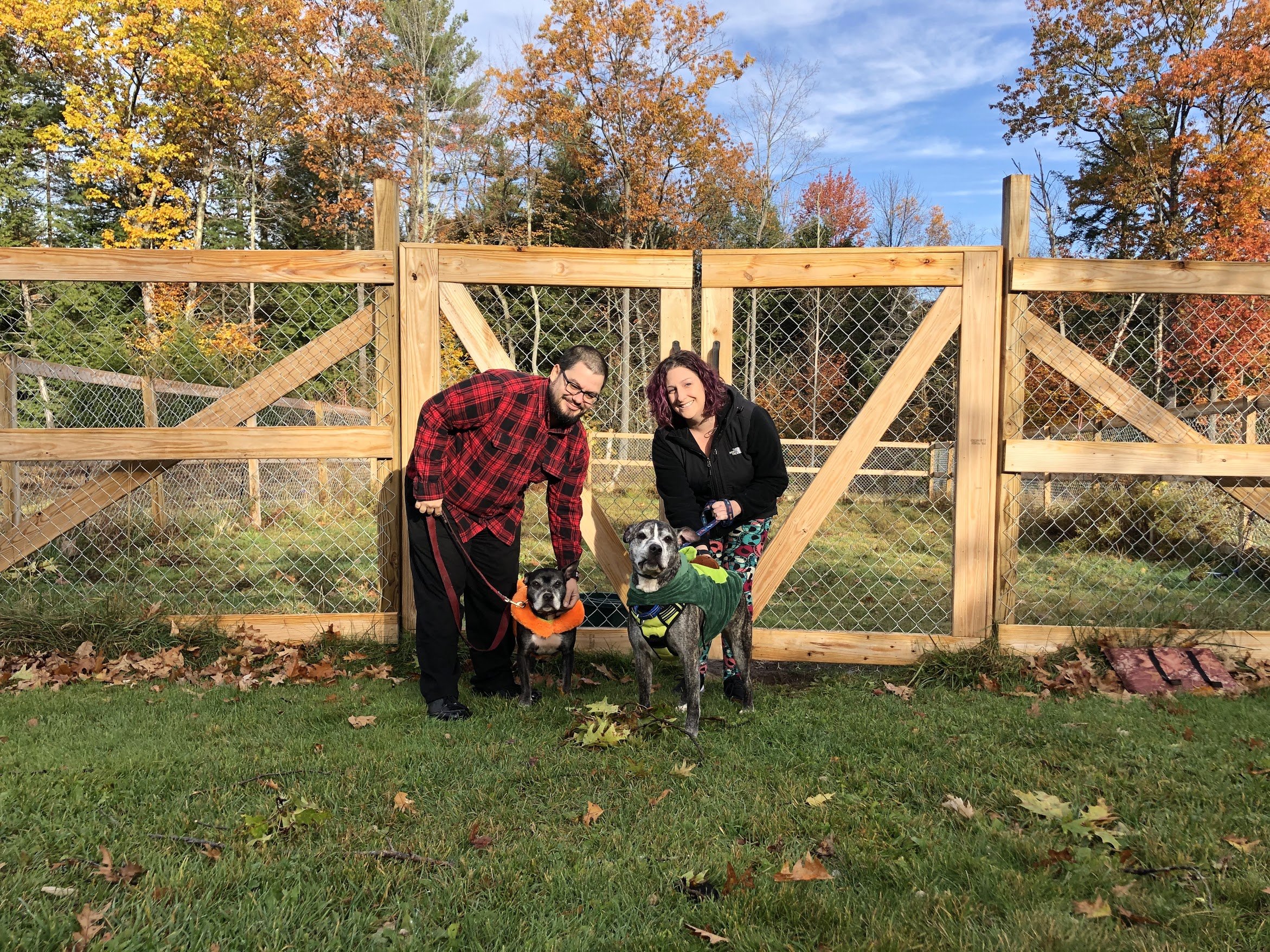 What's it like to adopt a senior dog?