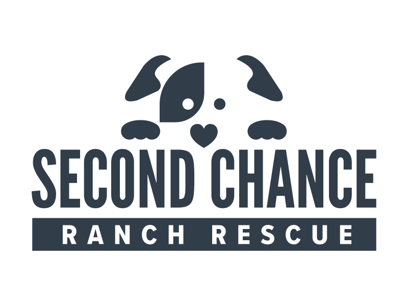 Welcome to The Second Chance Stories