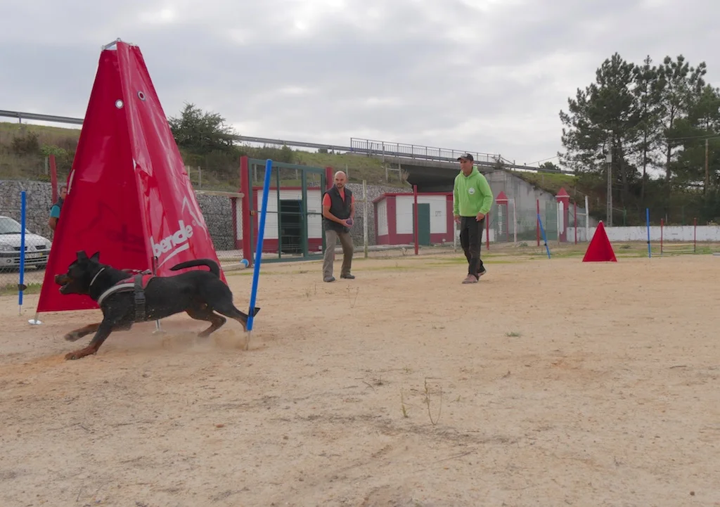 Treino de IPO