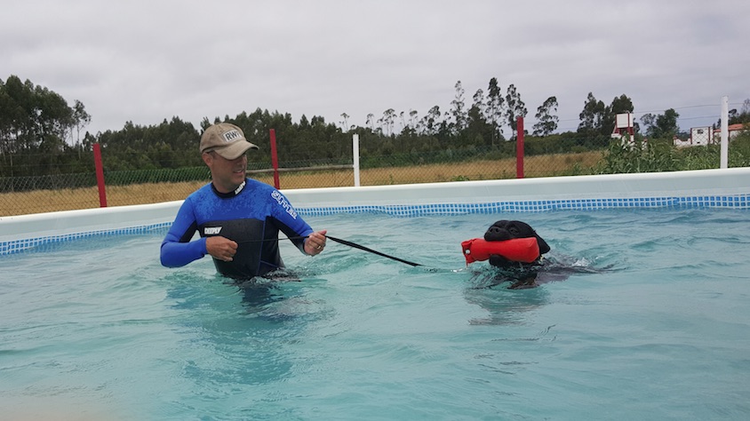 Piscina Para Cães