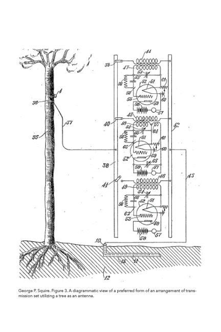 FLORACURRENT_SOROS_CIRCUIT.png