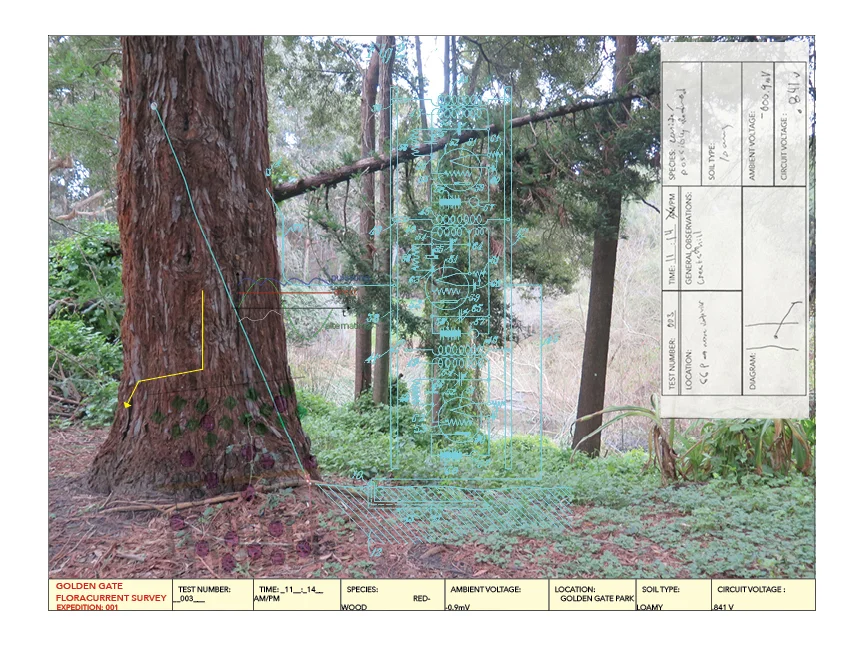 Golden Gate Florocurrent Survey
