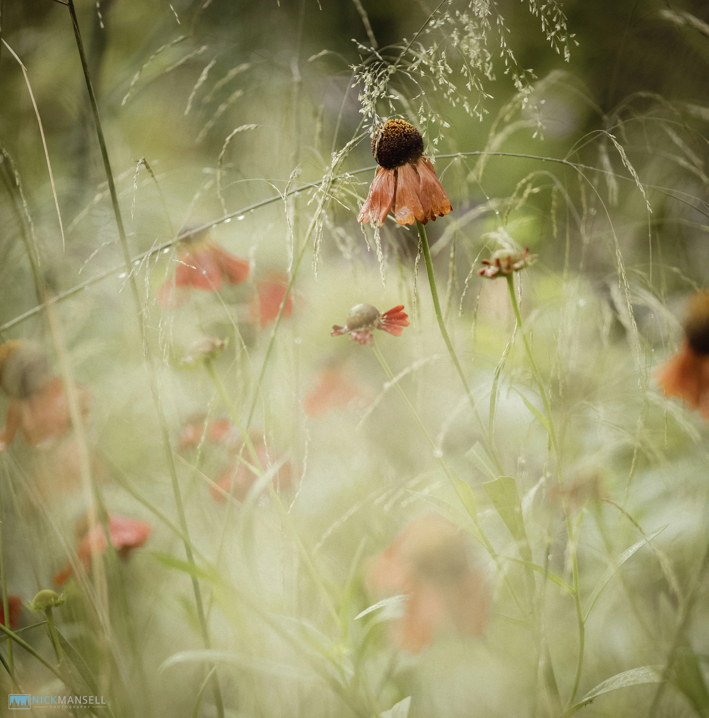 untitled shoot-2321.jpg