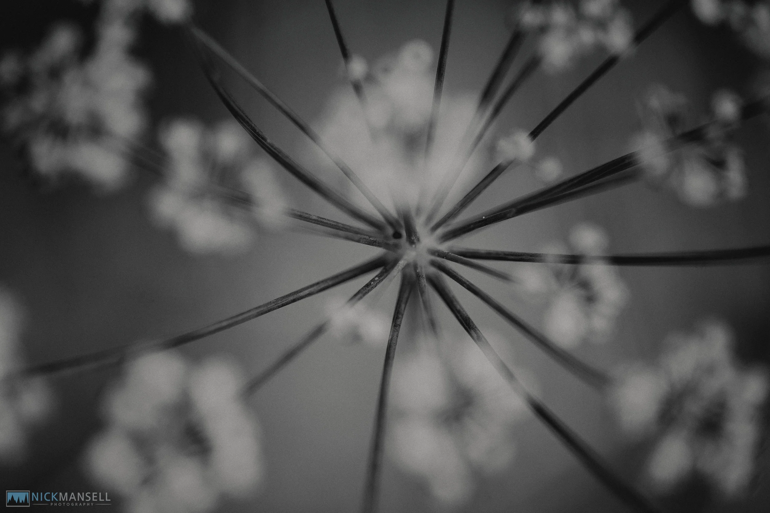 untitled shoot-2517.jpg