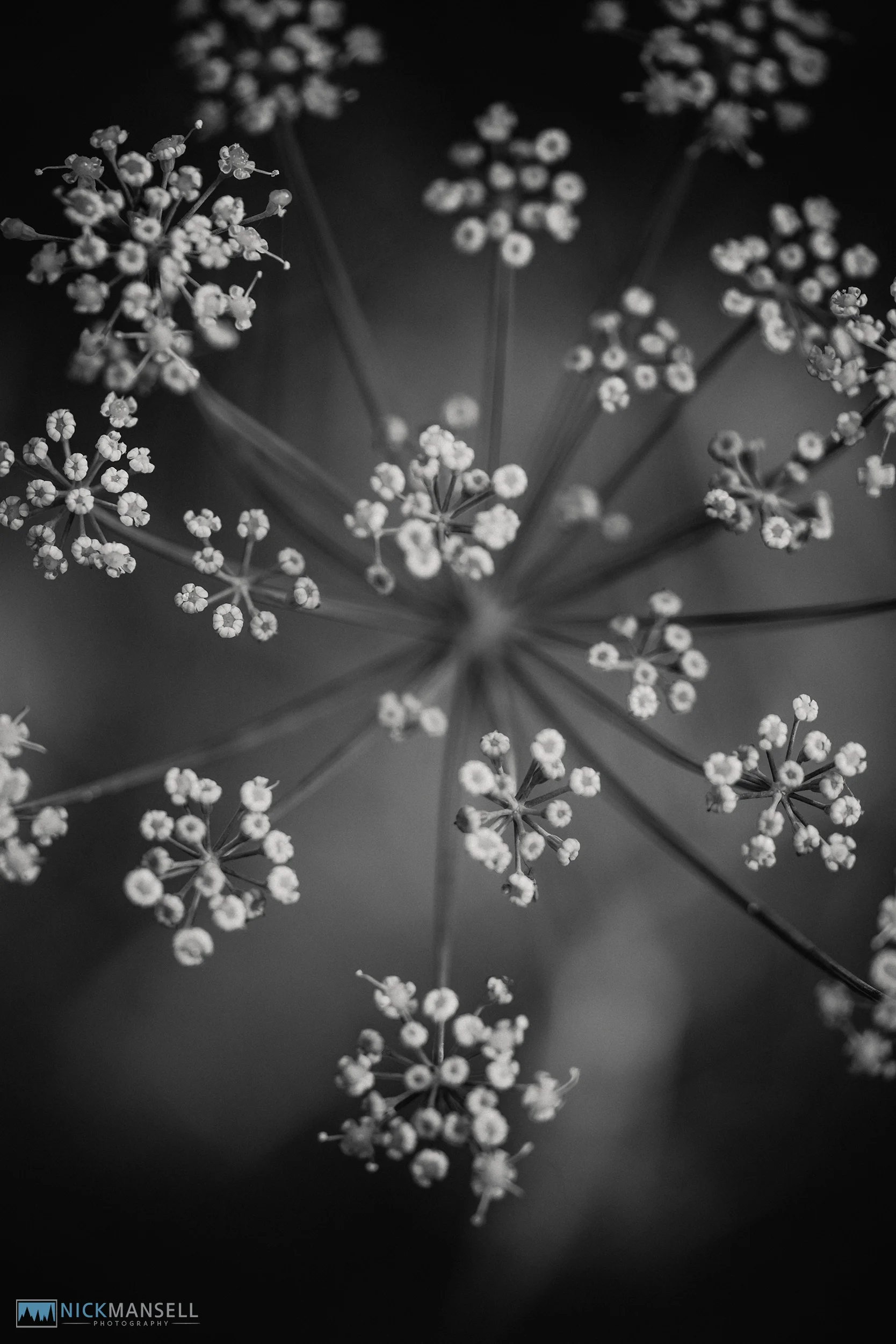untitled shoot-2524.jpg