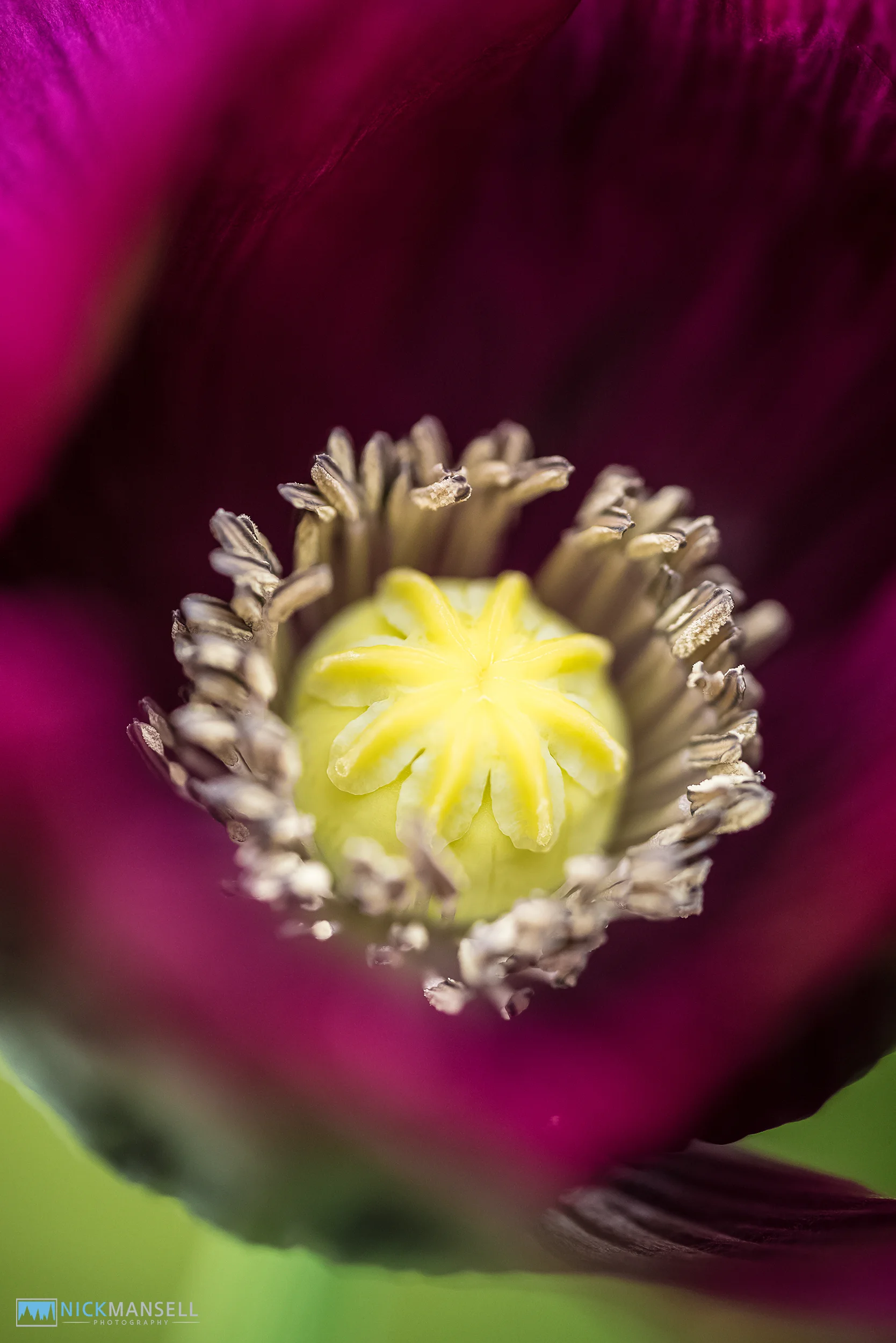 untitled shoot-2061.jpg