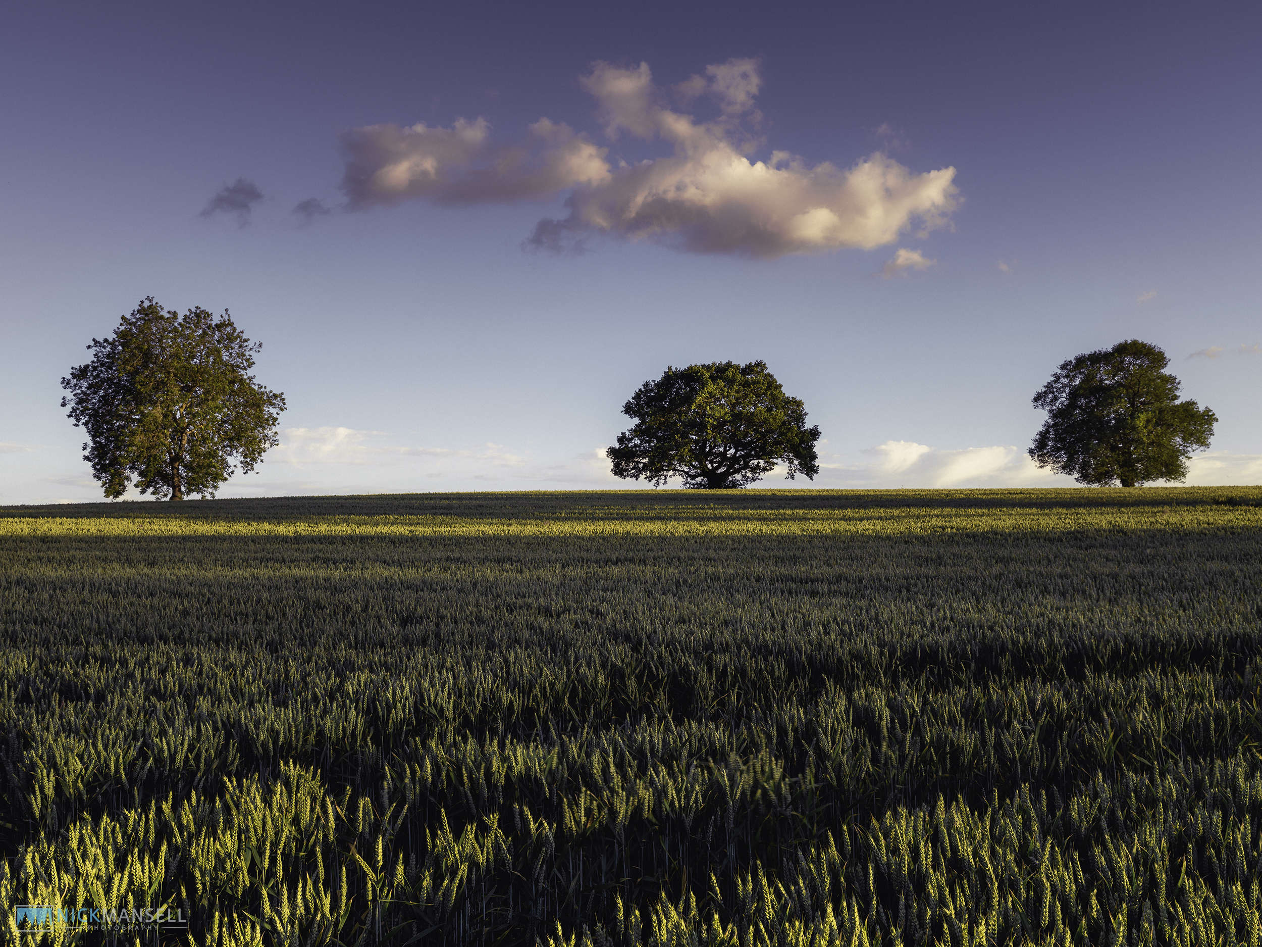 gfx_berkswell-1249b.jpg