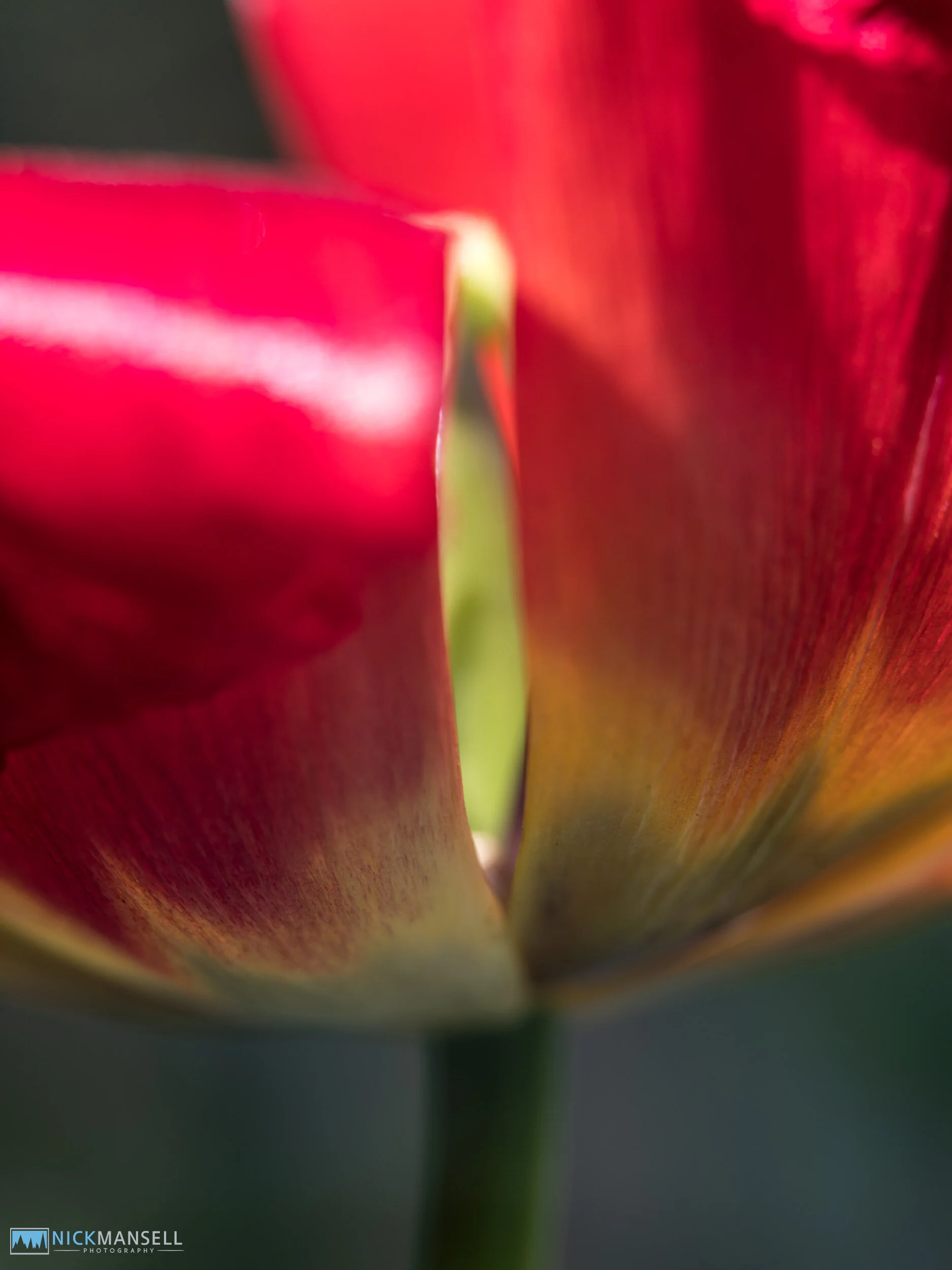 untitled-6912.jpg