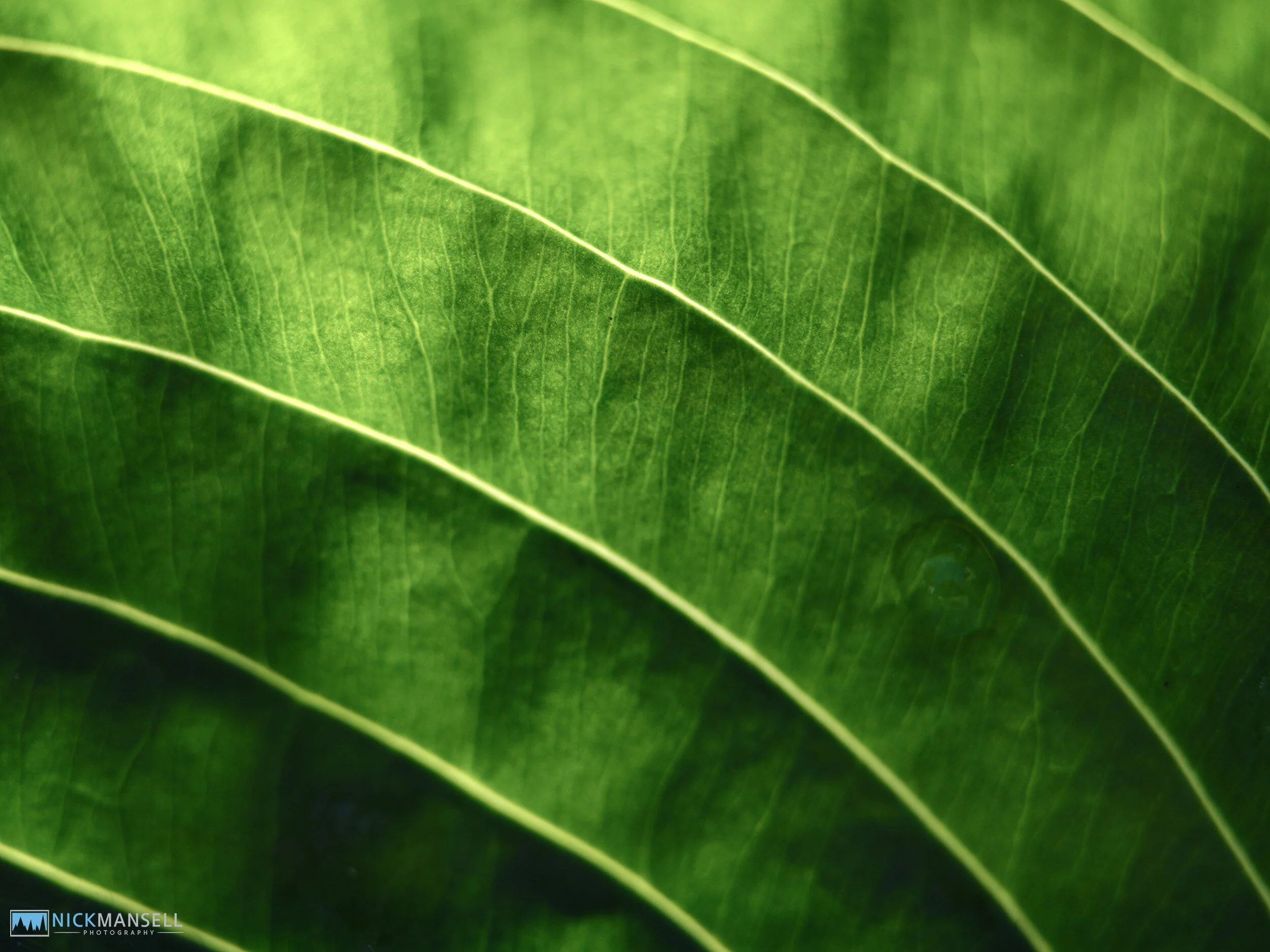 untitled-6959.jpg