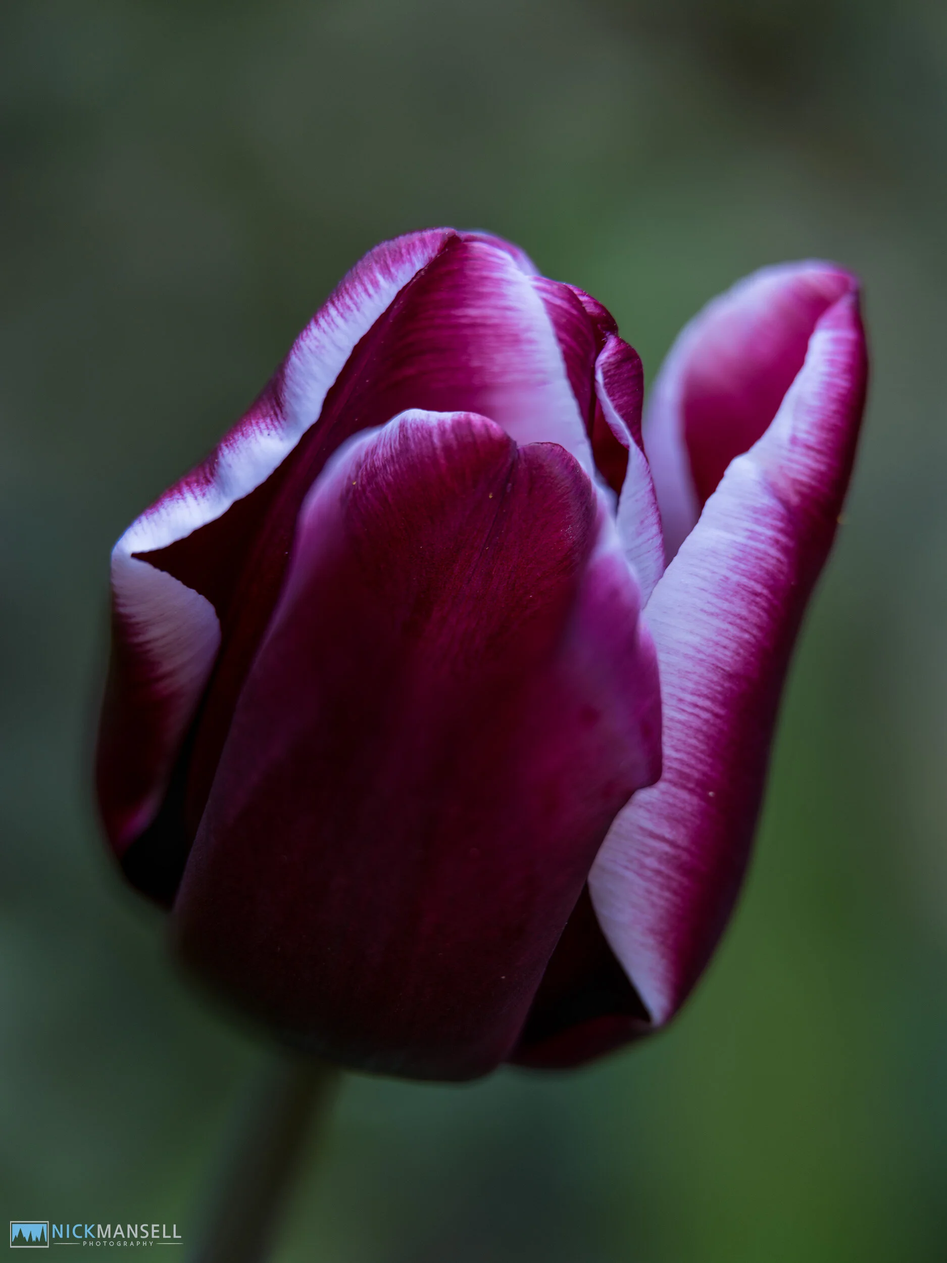 untitled-6952.jpg