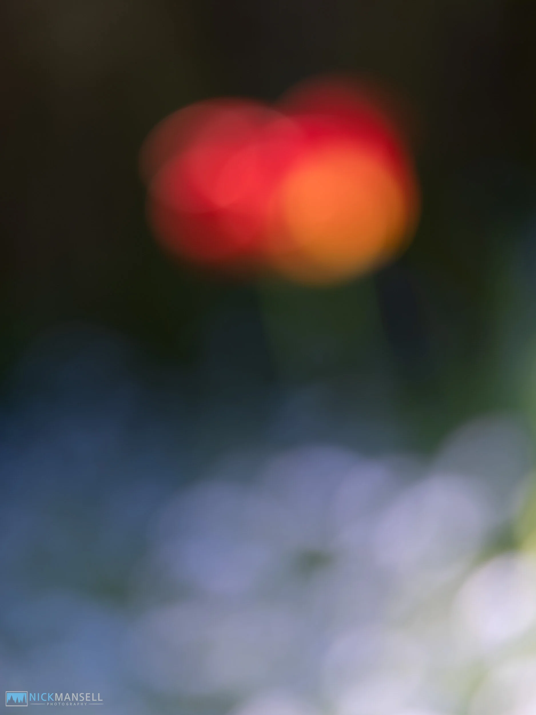 untitled-6918.jpg