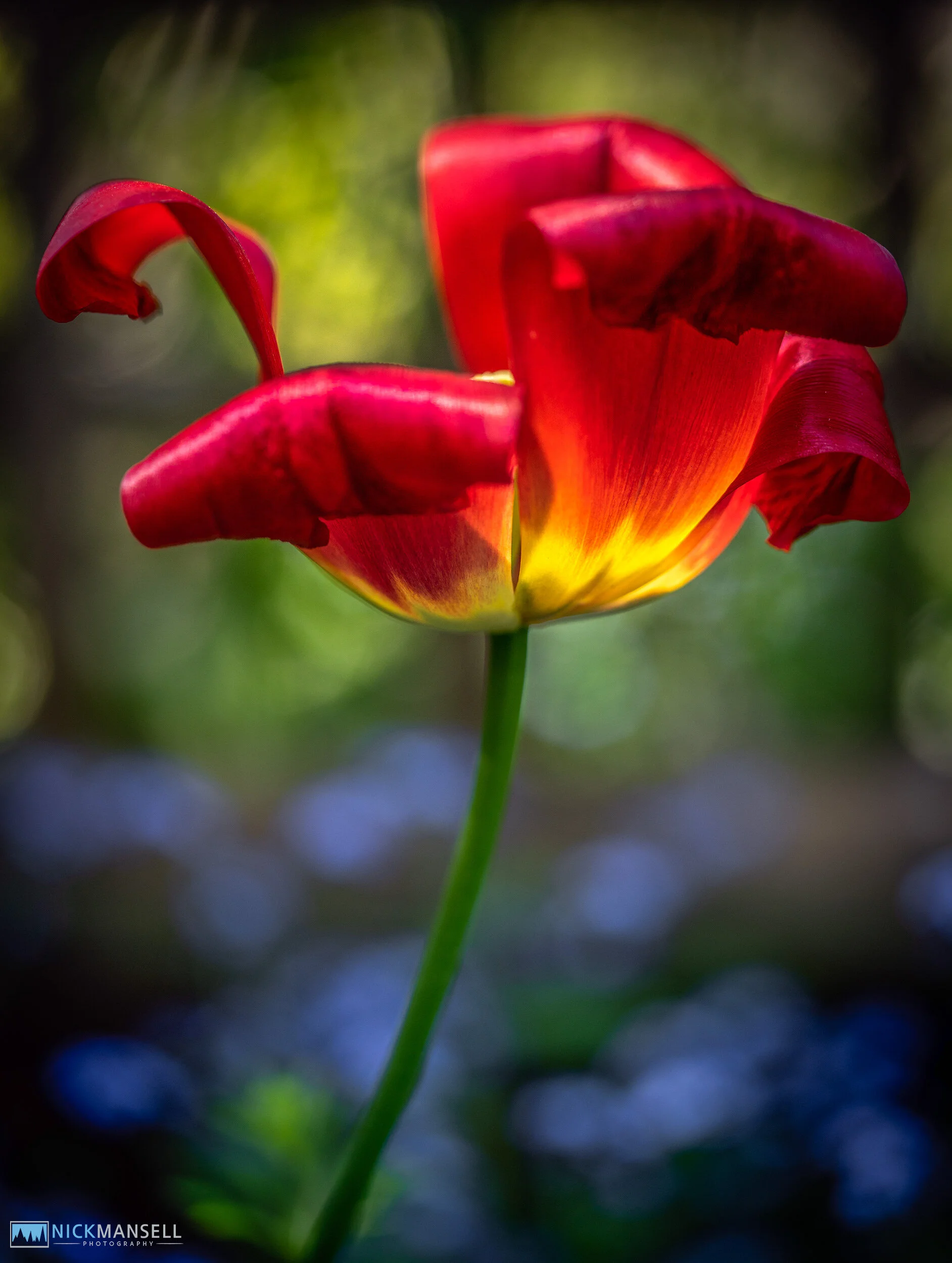 untitled-7185.jpg