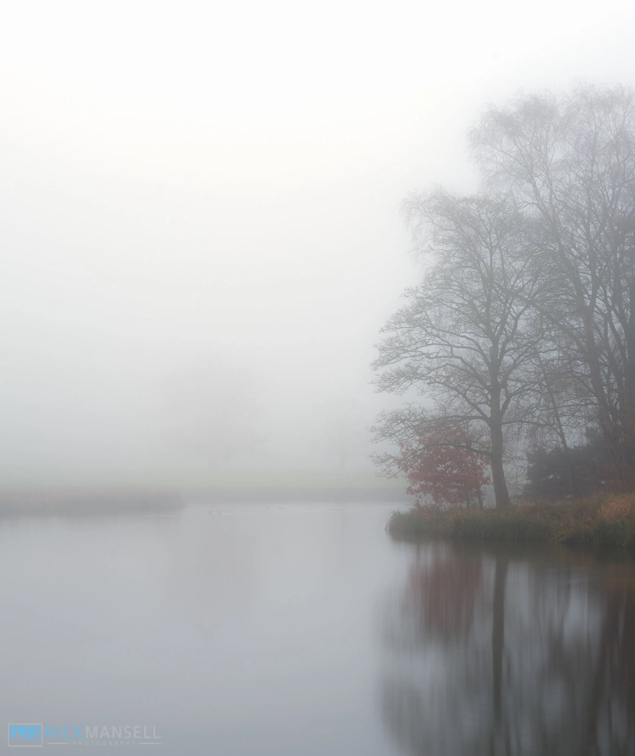 fog-0847.jpg