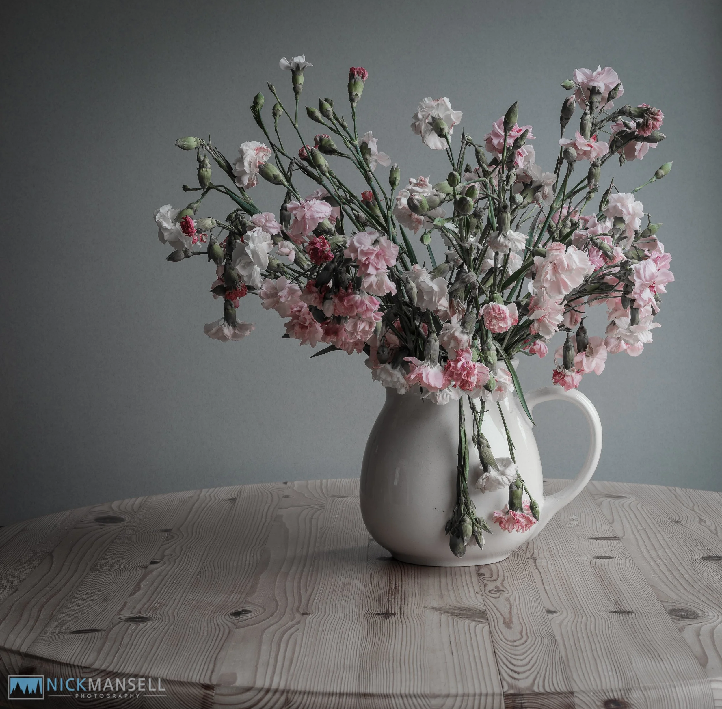 carnation 2-5362-HDR.jpg