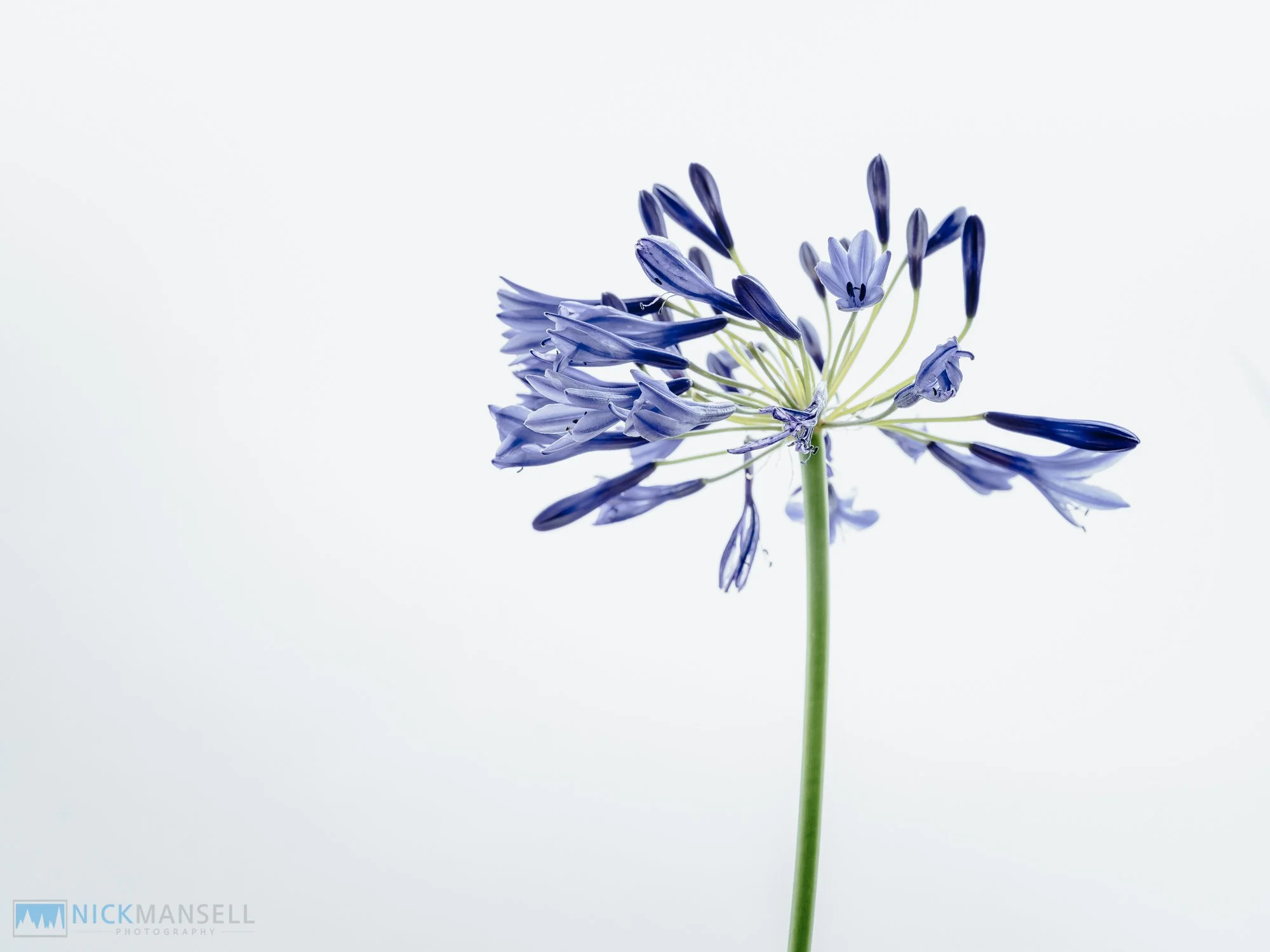 untitled (1 of 1)-7.jpg