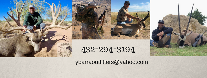 432-294-3194.png