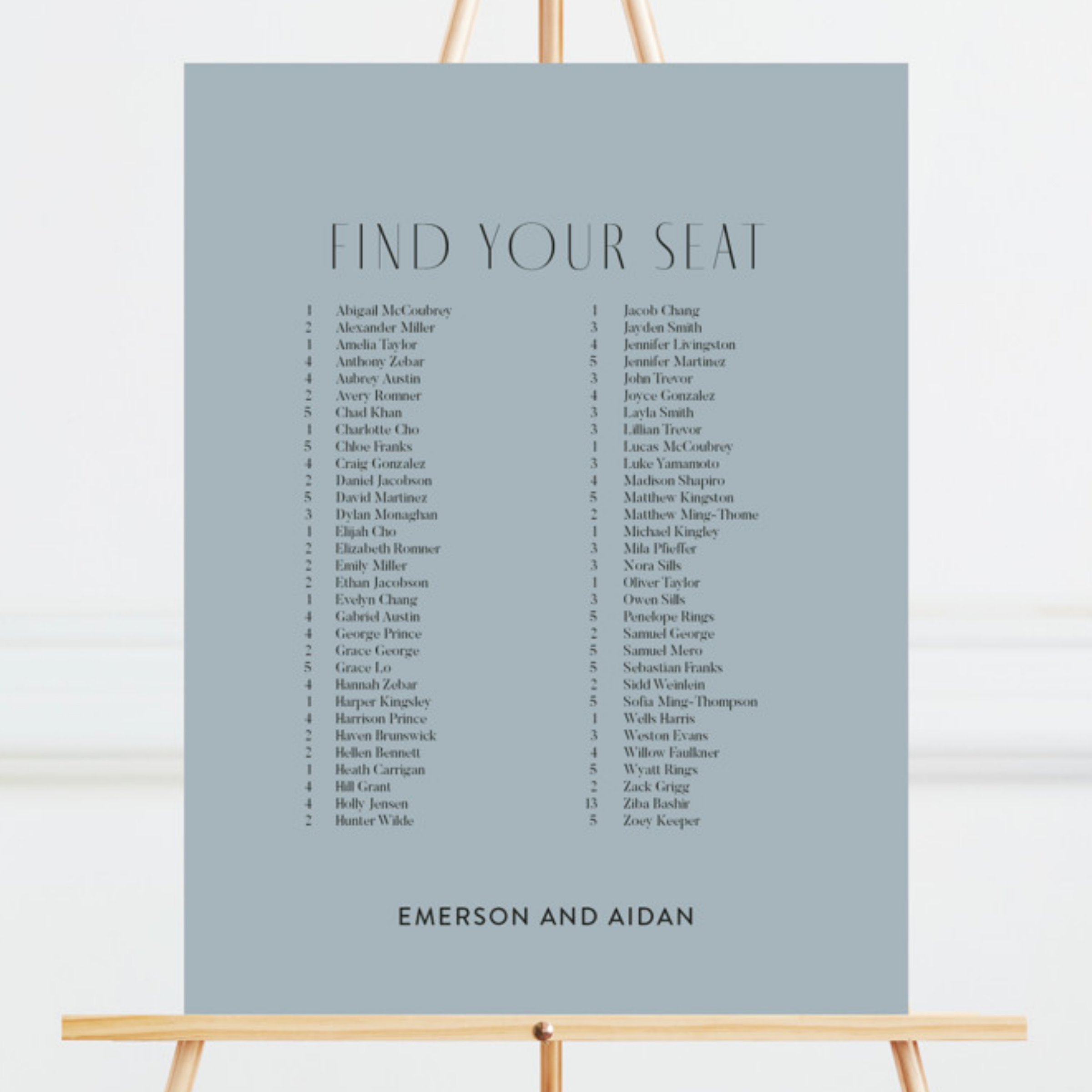 Solid Seating Chart by Minted