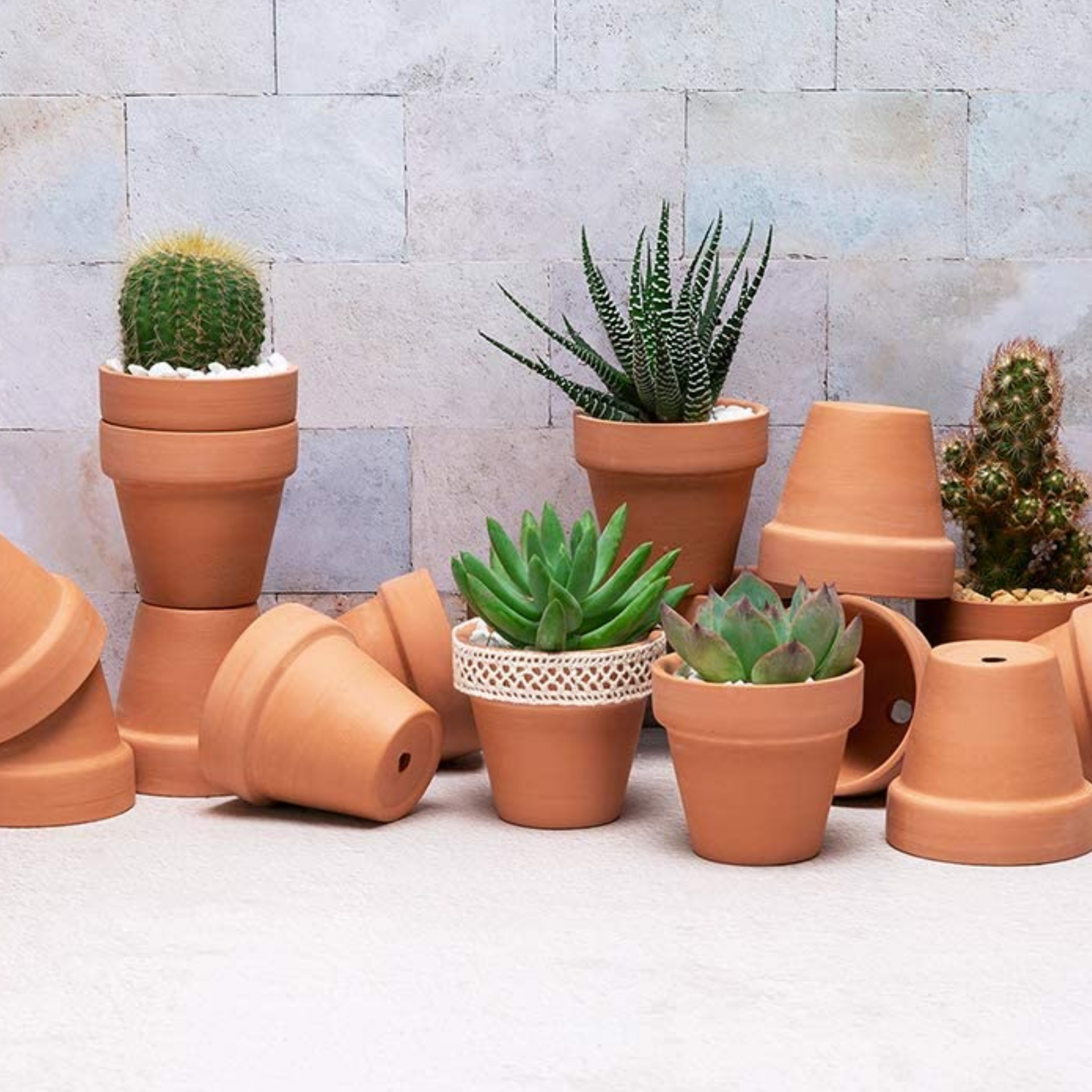 Mini Terracotta Planters Set