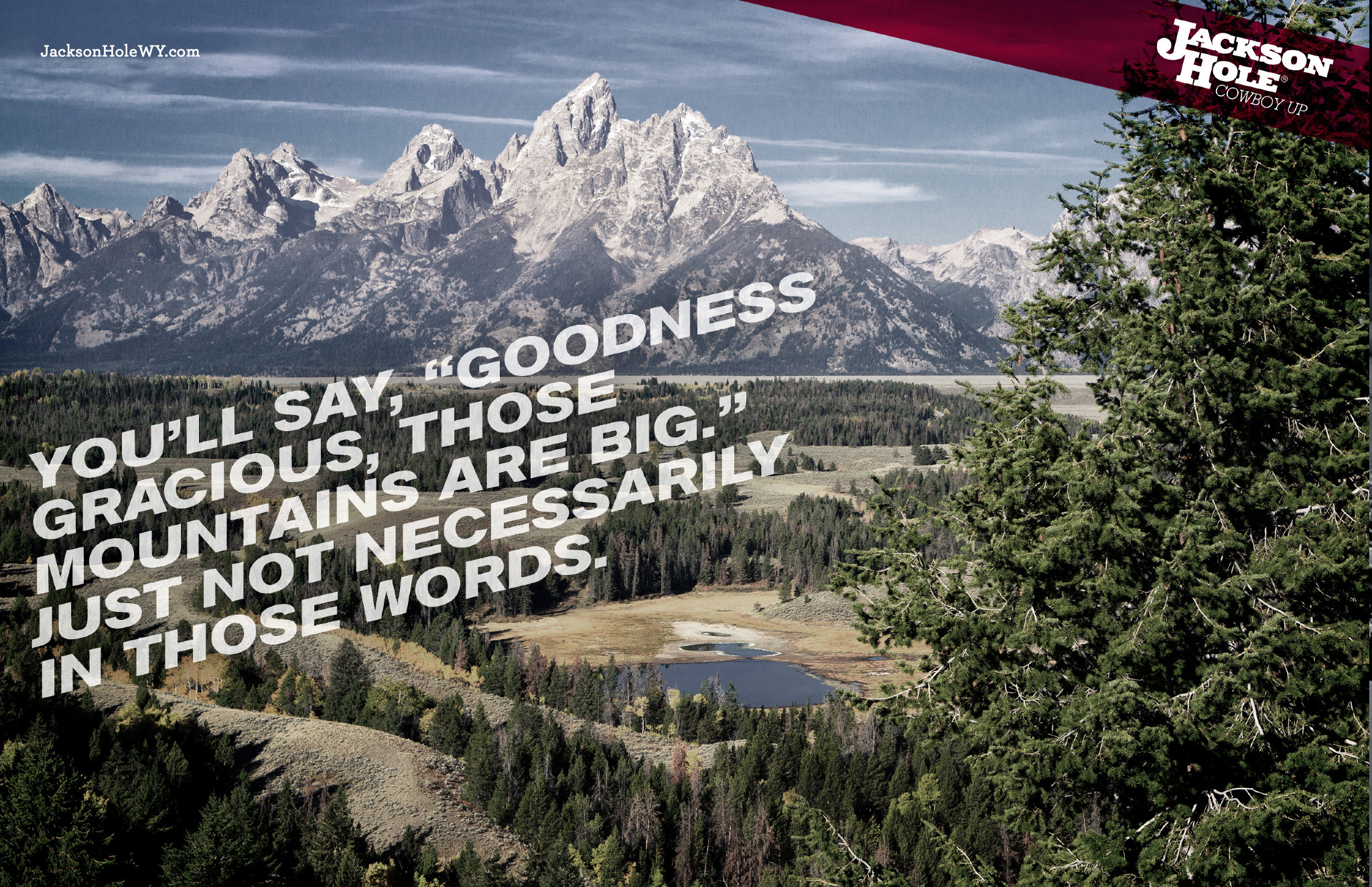 gracious_o copy.jpg