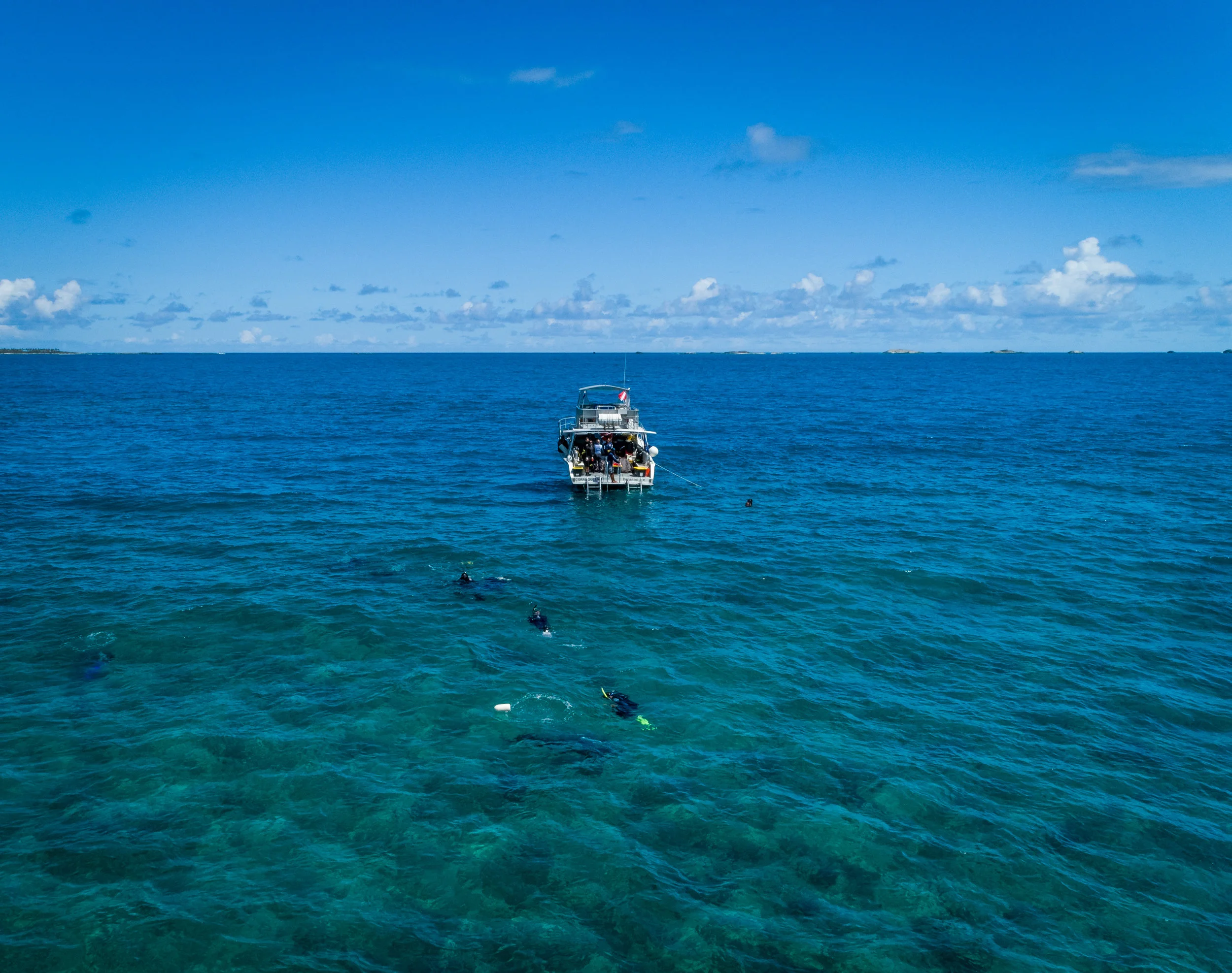 DJI_P4Adv_DJI_FB_PR_DiveDrone_2018_37-3.jpg