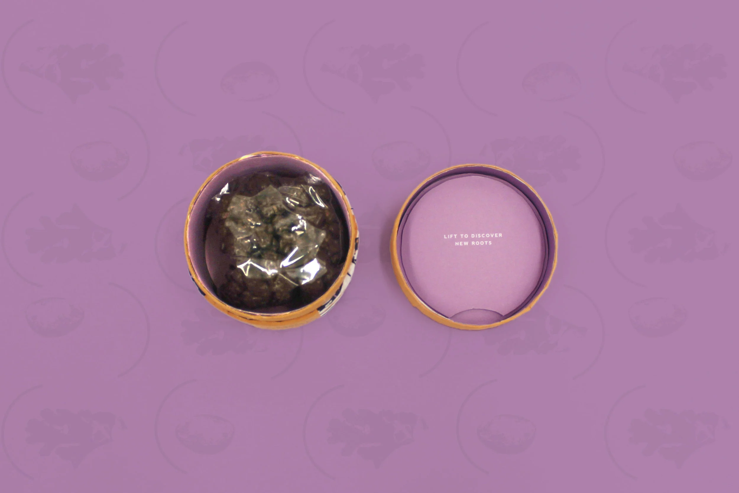 IMG_9428edit-purple-bg3.jpg