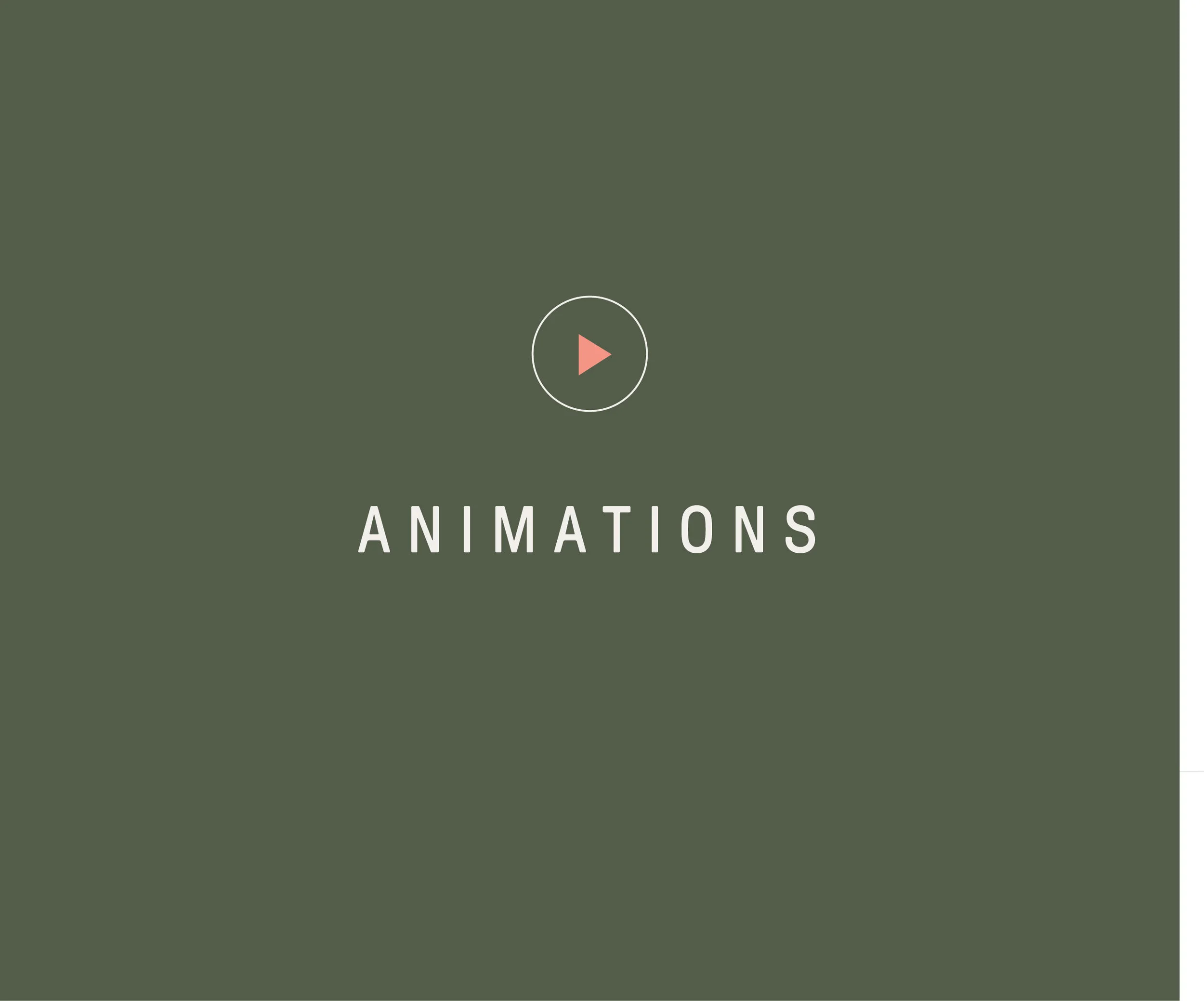 aniamtions cover2.jpg